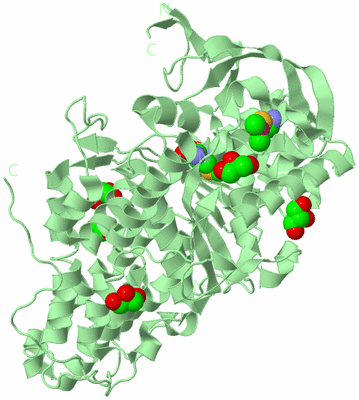 Image Biological Unit 2