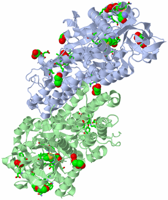 Image Asym. Unit - sites