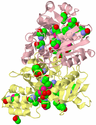 Image Biological Unit 2