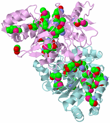 Image Biological Unit 3