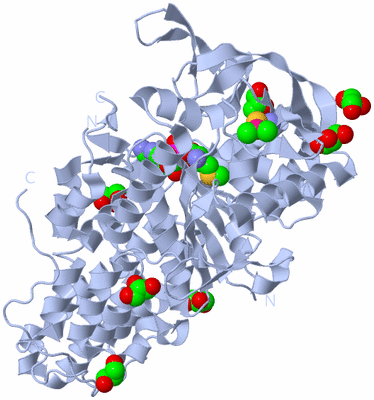 Image Biological Unit 1