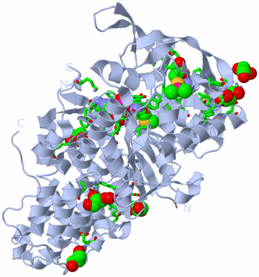 Image Biol. Unit 1 - sites