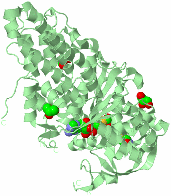 Image Biological Unit 2