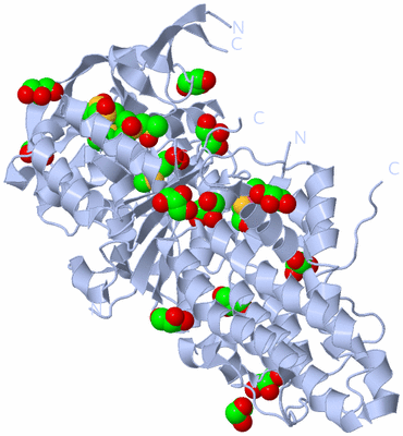 Image Biological Unit 1