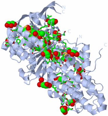 Image Biol. Unit 1 - sites