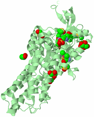 Image Biological Unit 2