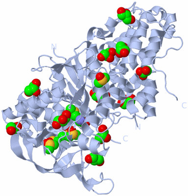 Image Biological Unit 1