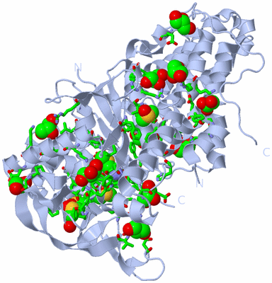 Image Biol. Unit 1 - sites