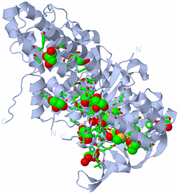 Image Biol. Unit 1 - sites