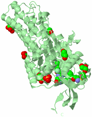 Image Biological Unit 2