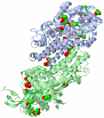 Image Biological Unit 3