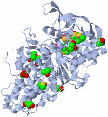 Image Biological Unit 1