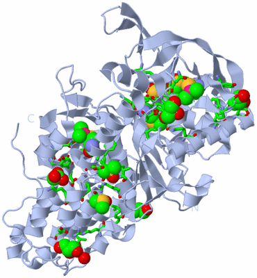 Image Biol. Unit 1 - sites