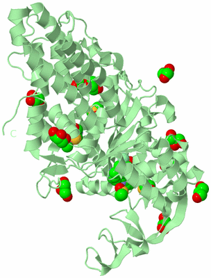 Image Biological Unit 2