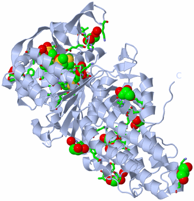 Image Biol. Unit 1 - sites