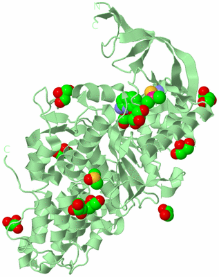 Image Biological Unit 2