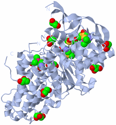 Image Biological Unit 1