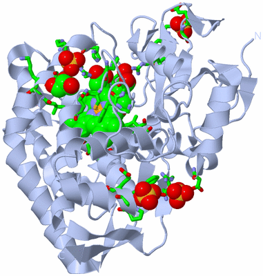 Image Biol. Unit 1 - sites