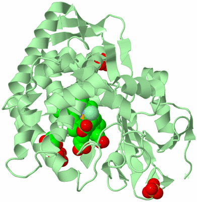 Image Biological Unit 2