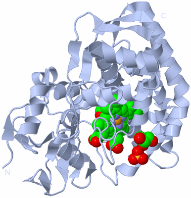 Image Biological Unit 1