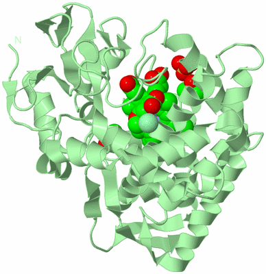 Image Biological Unit 2