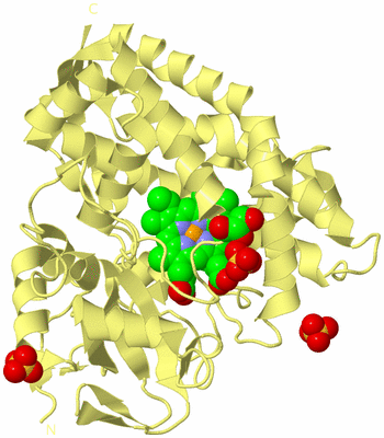 Image Biological Unit 4