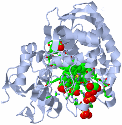 Image Biol. Unit 1 - sites