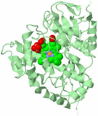 Image Biological Unit 2