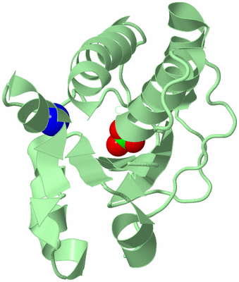 Image Biological Unit 3