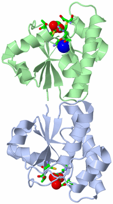 Image Asym. Unit - sites