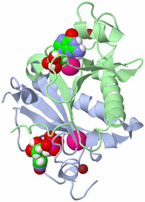 Image Asym./Biol. Unit