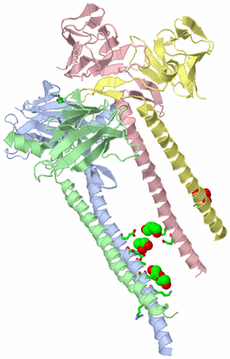 Image Asym. Unit - sites