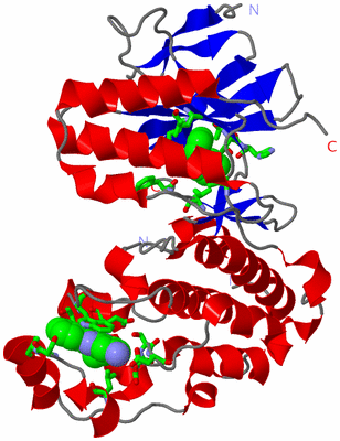 Image Asym./Biol. Unit - sites