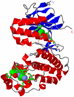 Image Asym./Biol. Unit - sites