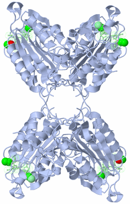 Image Biological Unit 2