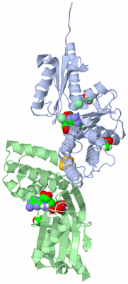 Image Asym./Biol. Unit