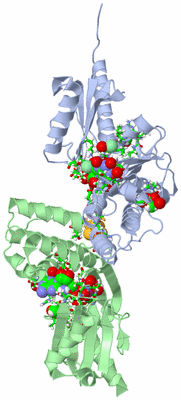 Image Asym./Biol. Unit - sites