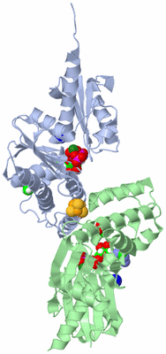 Image Asym./Biol. Unit