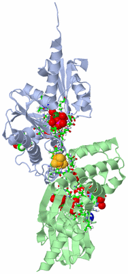 Image Asym./Biol. Unit - sites