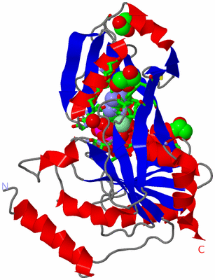 Image Asym./Biol. Unit - sites