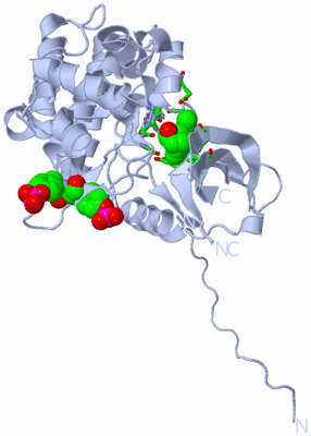 Image Biol. Unit 1 - sites