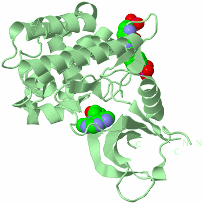 Image Biological Unit 2