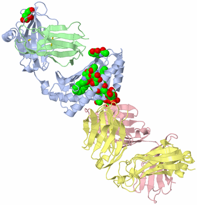 Image Biological Unit 1