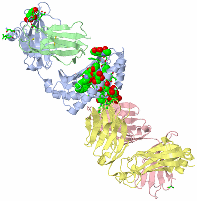 Image Biol. Unit 1 - sites