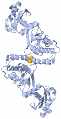 Image Biological Unit 1