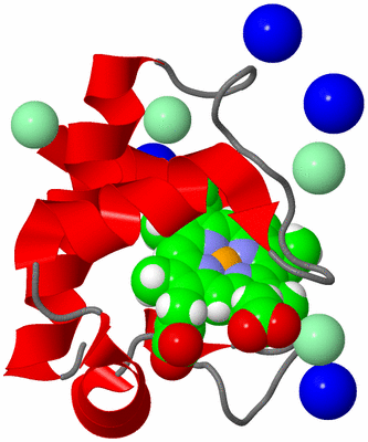 Image Asym./Biol. Unit