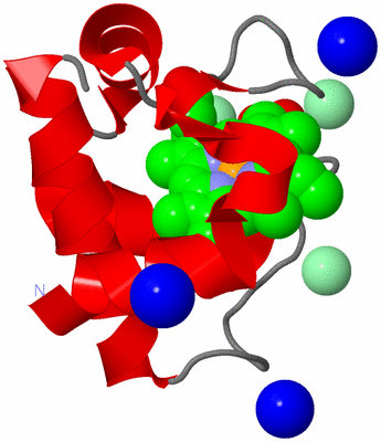 Image Asym./Biol. Unit