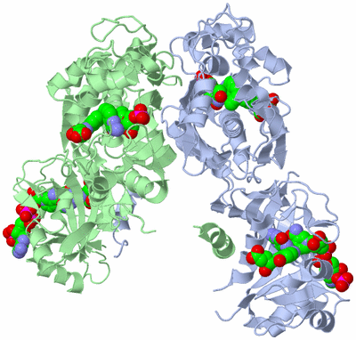 Image Biological Unit 1