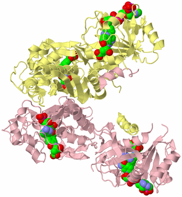 Image Biological Unit 2