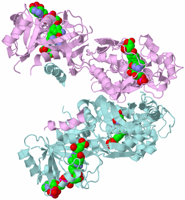 Image Biological Unit 3